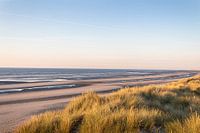 Goudverlichte duinen van Nieuwpoort | Landschap