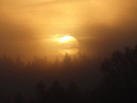 Zonsopkomst met mist