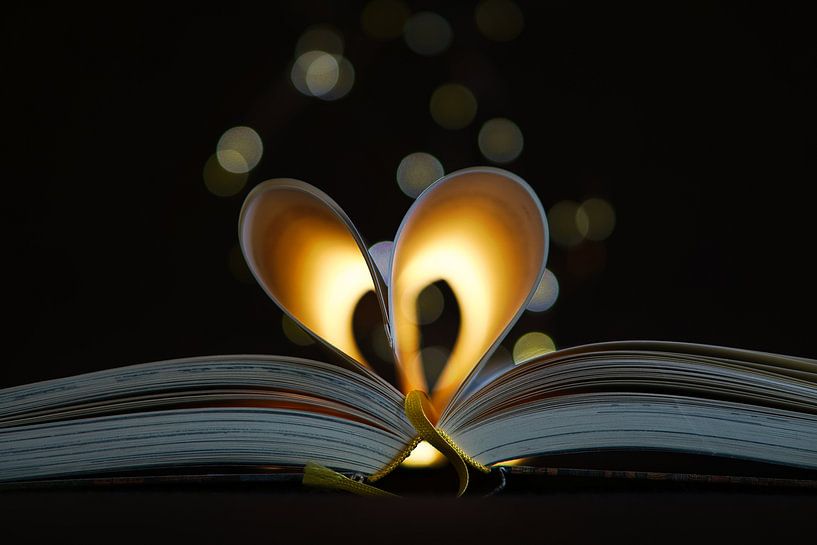 Opengeslagen boek met bladzijden, tot op het hart geslagen van Martin Köbsch