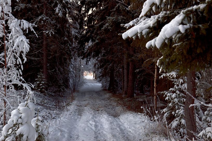 Le nord de la Suède par Christer Andersson