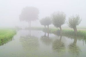 Nebel in die Alblasserwaard