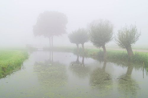 Mist in de Alblasserwaard