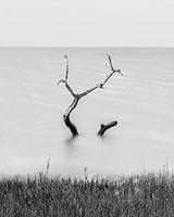 Stijgend water