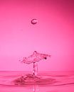 Water drops #3 van Marije Rademaker thumbnail