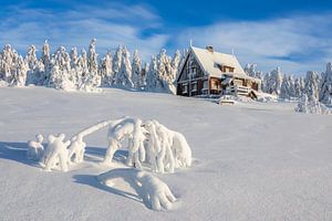 Winterhuisje van Daniela Beyer