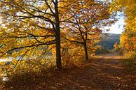 Herfst aan de Saar van Carole Winchester thumbnail