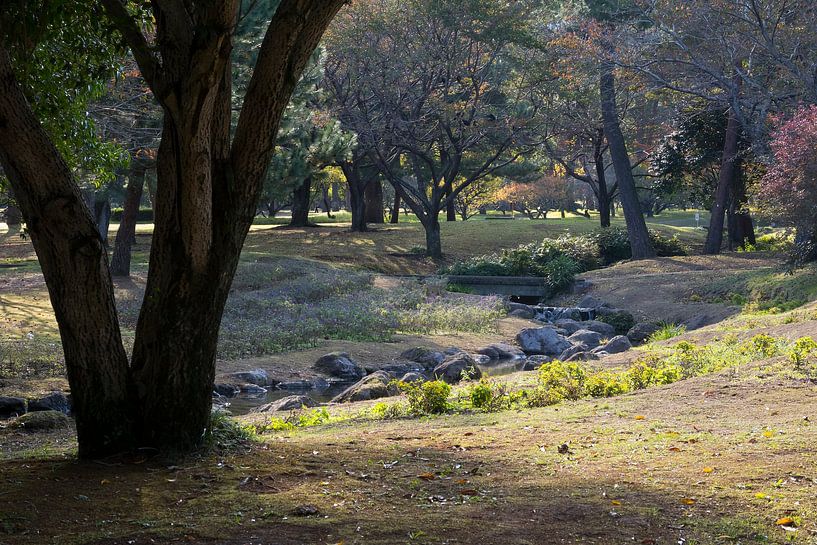 Herfst sfeer in een Japans park in de late middag van Frans Rombout
