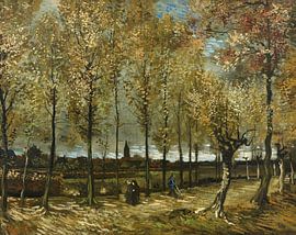 Populierenlaan bij Nuenen -  Vincent van Gogh