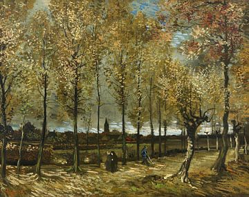 Populierenlaan bij Nuenen -  Vincent van Gogh