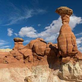 Toadstool Hoodoos: Timeless Sculptures of Nature II by Gerry van Roosmalen