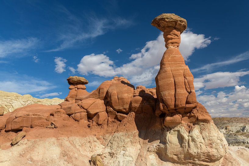 Toadstool Hoodoos: Timeless Sculptures of Nature II by Gerry van Roosmalen