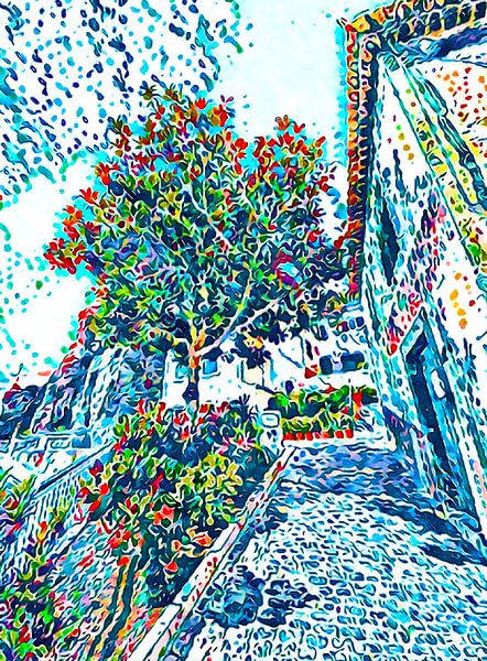 Madeira, Motif 14 by zam art