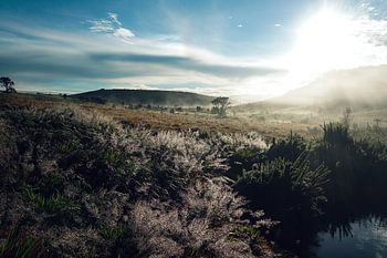 Horton Plains Sri Lanka