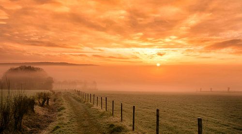 Mistige zonsopkomst in de buurt van Epen in Zuid-Limburg