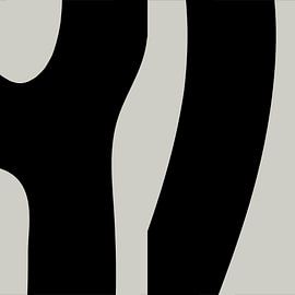 Black Abstract Organic Geometric Shapes no. 4 by Dina Dankers