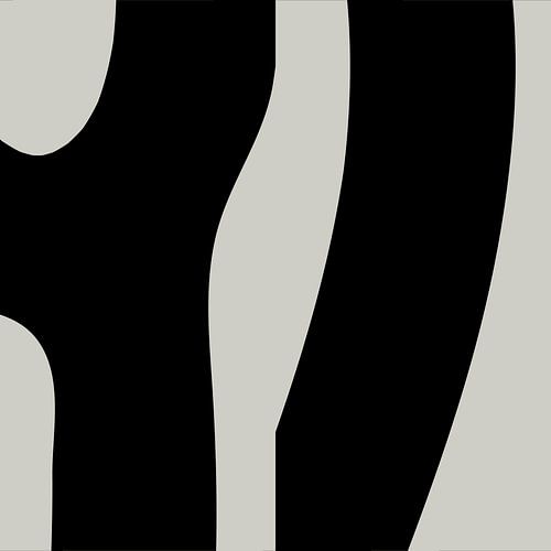 Zwarte Abstracte Organische Geometrische Vormen nr. 4