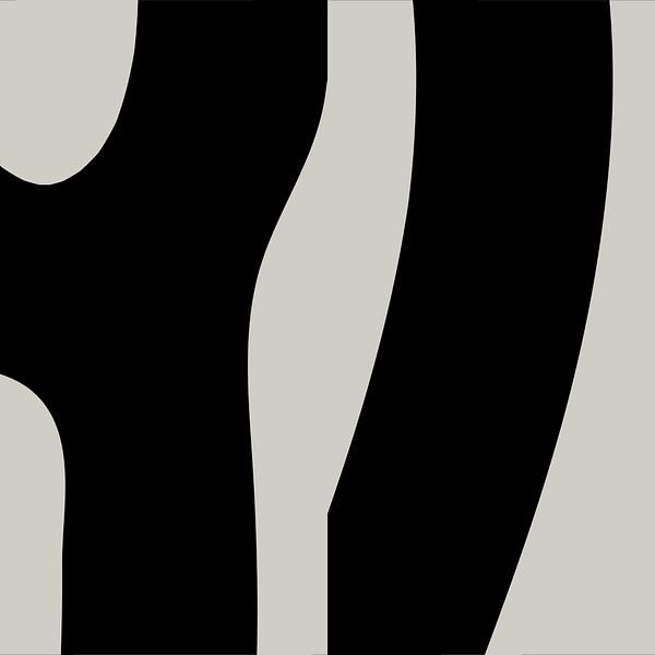 Schwarz Abstrakte Organische Geometrische Formen Nr. 4 von Dina Dankers