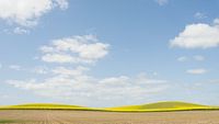 Schwedt (Oder)