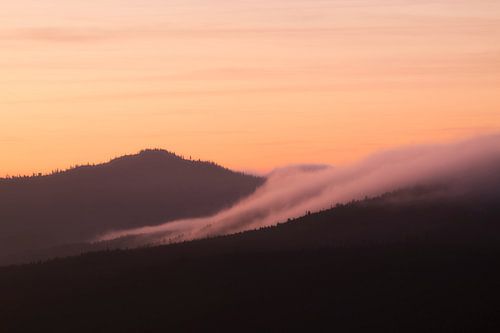 Abendnebel am Rachel von Max Schiefele