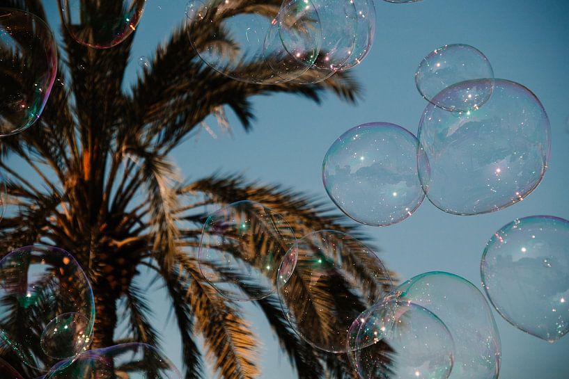Palmbomen met zeepbellen, bubbles in Valencia Spanje van Lindy Schenk-Smit