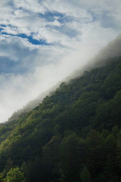 Mistige berg par s Zenki