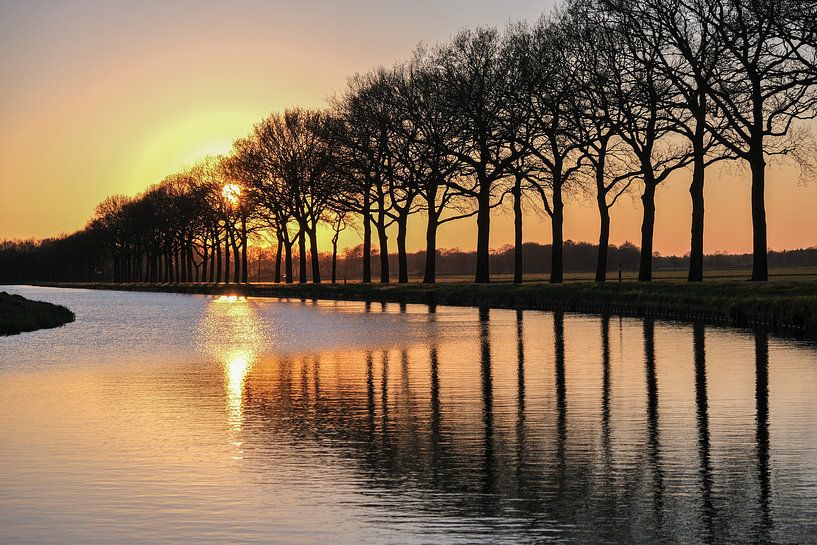 Sunny evening par Ilma Fotografie