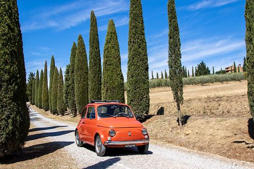 Fiat in cipressenlaan (3)