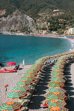 Cinque Terre Monterosso van HelloHappylife