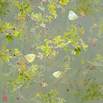 Akebia avec des papillons blancs de choux