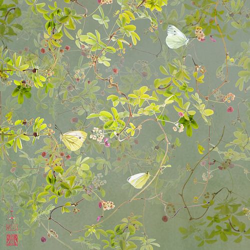 Akebia mit Kohlweißschmetterlingen