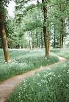Een Groene Weg