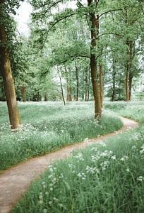 Een Groene Weg van Wahid Fayumzadah