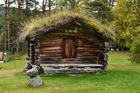 Sur les traces de nos ancêtres