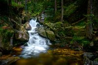 Crack hole falls in early summer