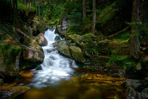 Risslochfälle im Frühsommer