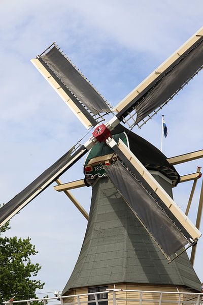 Mill by Iris Kruis