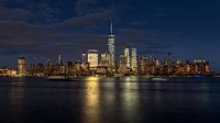 New York City skyline at night by Marieke Feenstra thumbnail