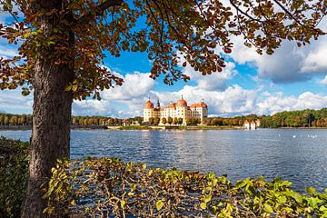 Blick auf das Schloss Moritzburg in Sachsen