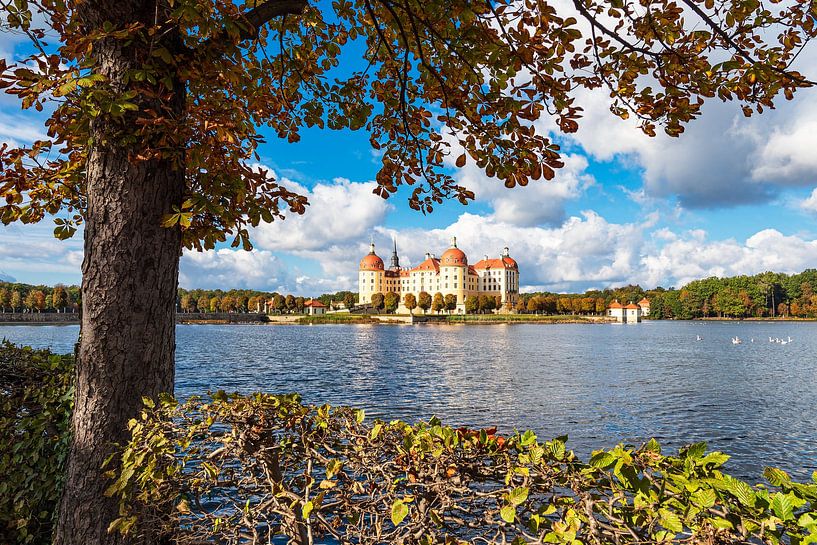 Blick auf das Schloss Moritzburg in Sachsen von Rico Ködder
