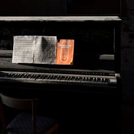 The abandoned piano von Tariq La Brijn
