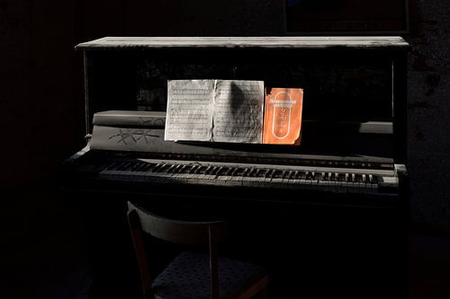 The abandoned piano by Tariq La Brijn