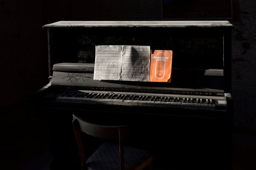 The abandoned piano par Tariq La Brijn