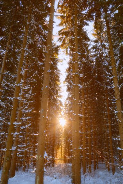 Winter landscape by Bo Valentino