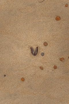 Hartjes vormige schelp op het strand van Veri Gutte
