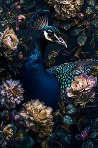 Pfau inmitten der Blumen