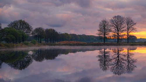 Lever de soleil au Scharreveld, Drenthe