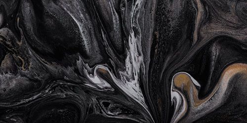 Panorama van vloeibare kleuren: zwart, grijs, wit en een beetje goudkleur