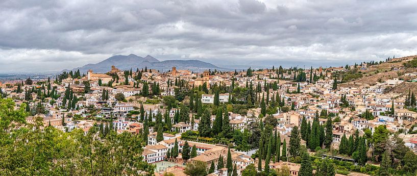 Granada uitzicht vanaf het Alhambra van Alexander Baumann
