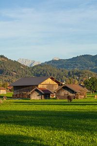 Heustadel mit Wiese und Alpen im Abendlicht