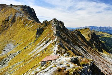 bergkam, Oostenrijk en Zwitserland van Snellink Photos
